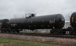 CITX 224170 (1)